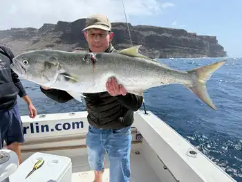 Pez azul White Marlin Gran Canaria